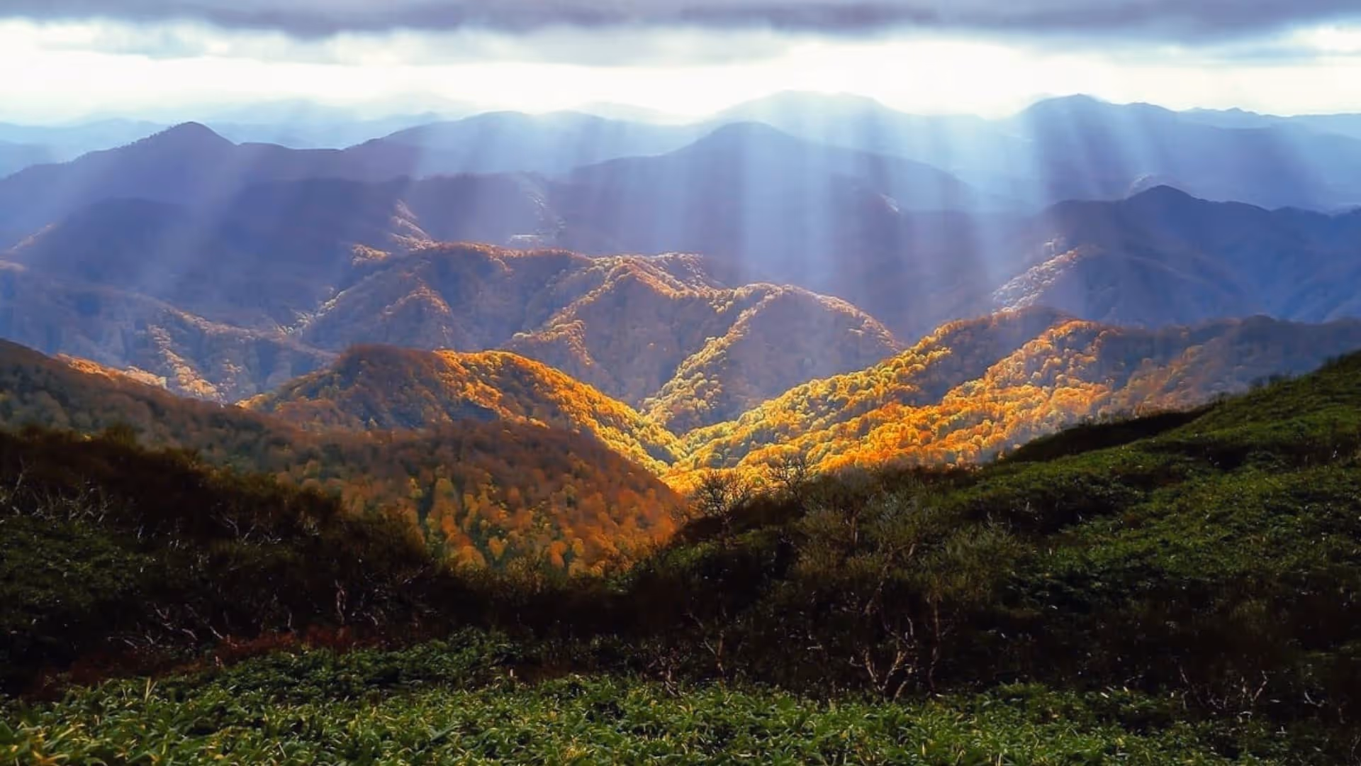 Blick über das Harzgebirge im Herbst mit Sonnenstrahlen durch die Wolken und herbstlich gefärbten Wäldern rund um das Iris Valley Lodge in Deutschland