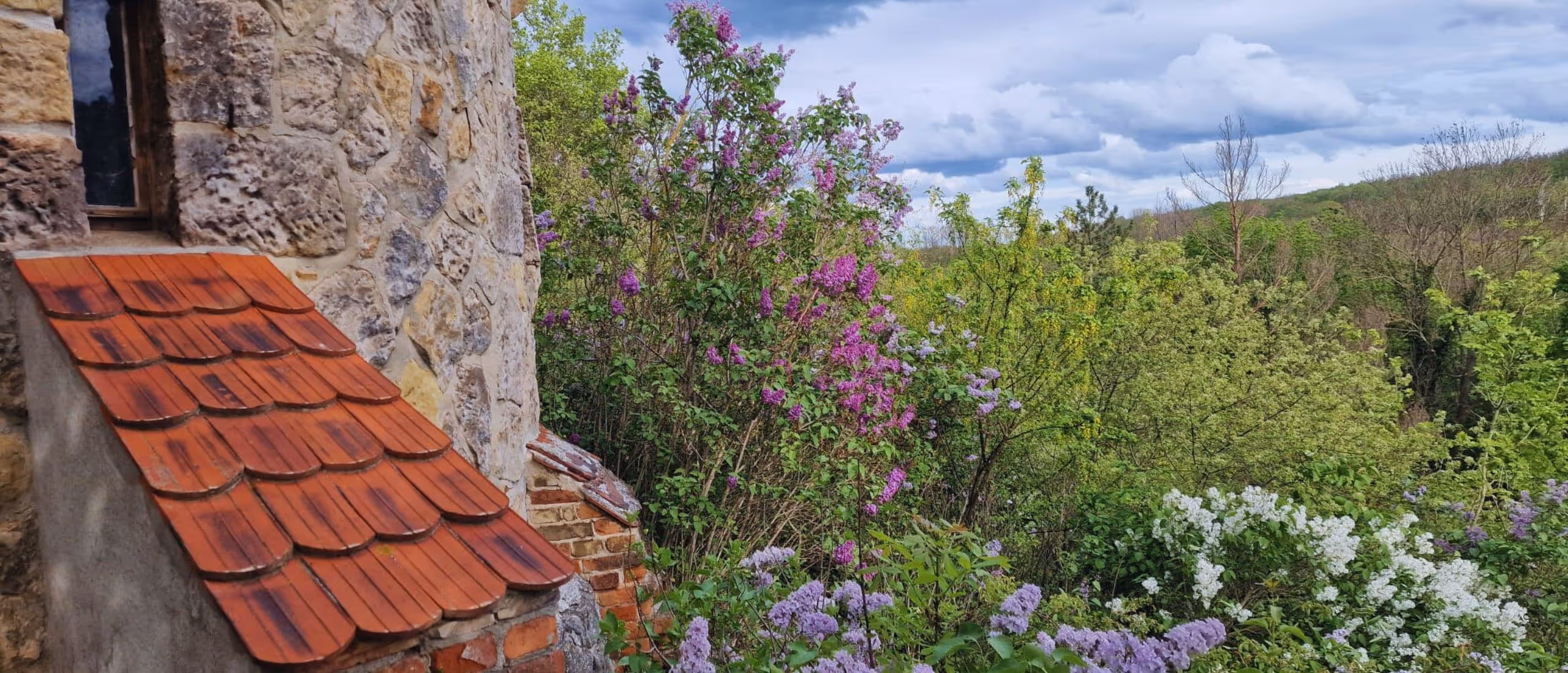 Blick über die grüne Hügellandschaft des Harzes im Sommer mit blühendem Flieder neben einer alten Steinmauer, Natur rund um das Iris Valley Lodge in Herzberg am Harz